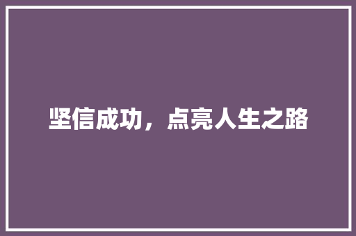 坚信成功，点亮人生之路