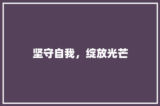 坚守自我，绽放光芒