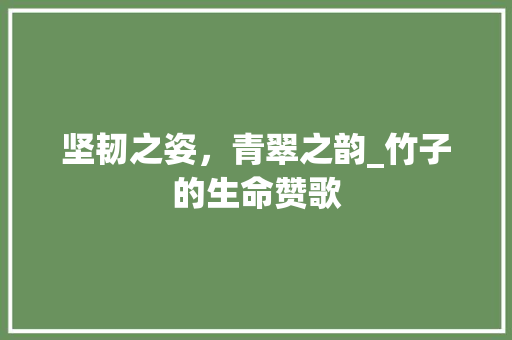 坚韧之姿，青翠之韵_竹子的生命赞歌