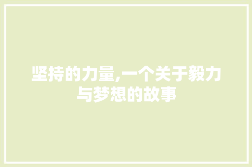 坚持的力量,一个关于毅力与梦想的故事