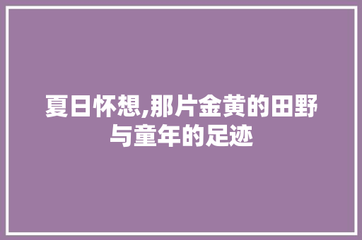 夏日怀想,那片金黄的田野与童年的足迹