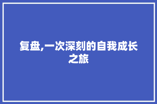 复盘,一次深刻的自我成长之旅