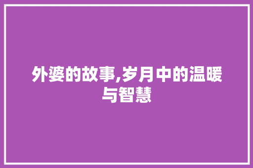 外婆的故事,岁月中的温暖与智慧