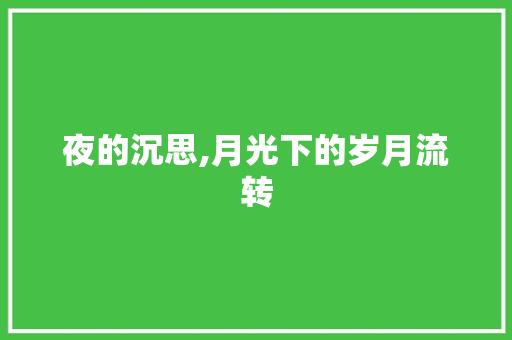 夜的沉思,月光下的岁月流转