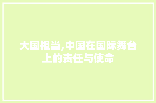 大国担当,中国在国际舞台上的责任与使命