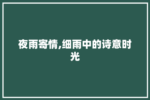 夜雨寄情,细雨中的诗意时光