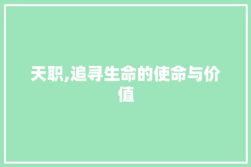 天职,追寻生命的使命与价值