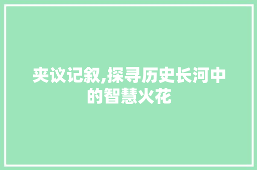 夹议记叙,探寻历史长河中的智慧火花