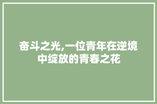 奋斗之光,一位青年在逆境中绽放的青春之花