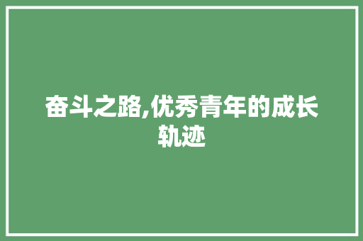 奋斗之路,优秀青年的成长轨迹