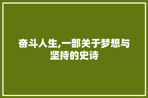 奋斗人生,一部关于梦想与坚持的史诗