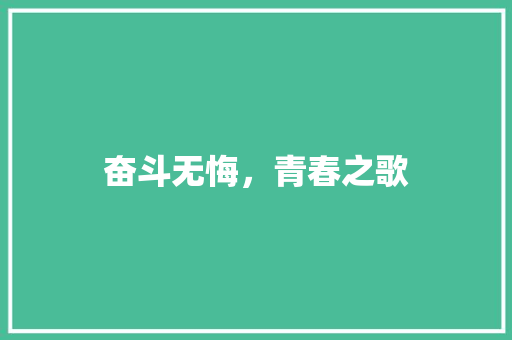 奋斗无悔，青春之歌