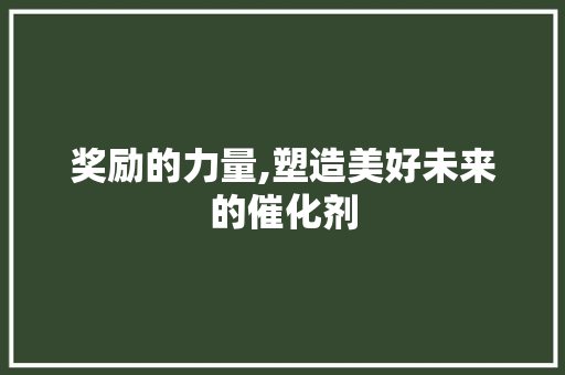 奖励的力量,塑造美好未来的催化剂