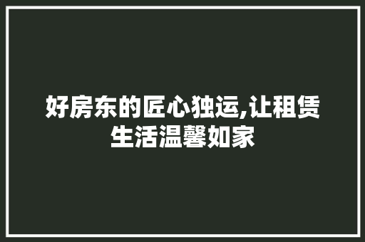 好房东的匠心独运,让租赁生活温馨如家