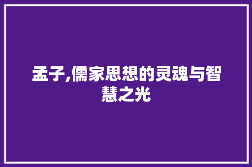 孟子,儒家思想的灵魂与智慧之光