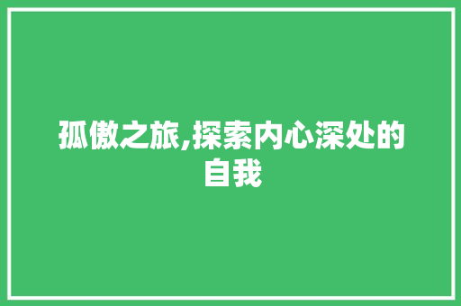 孤傲之旅,探索内心深处的自我