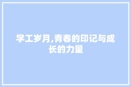 学工岁月,青春的印记与成长的力量