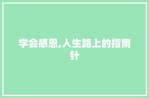 学会感恩,人生路上的指南针