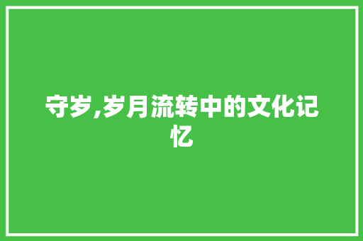 守岁,岁月流转中的文化记忆