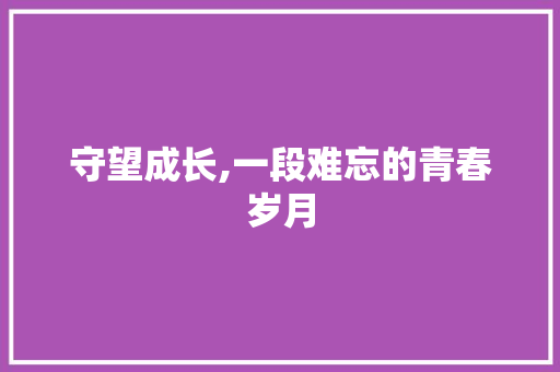 守望成长,一段难忘的青春岁月