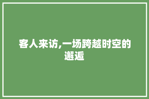 客人来访,一场跨越时空的邂逅