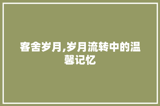 客舍岁月,岁月流转中的温馨记忆