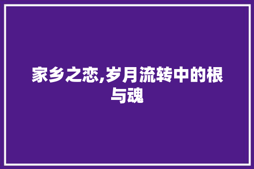 家乡之恋,岁月流转中的根与魂