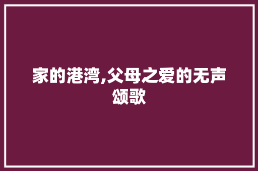 家的港湾,父母之爱的无声颂歌