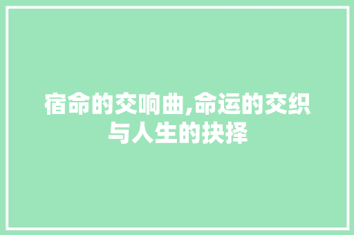 宿命的交响曲,命运的交织与人生的抉择