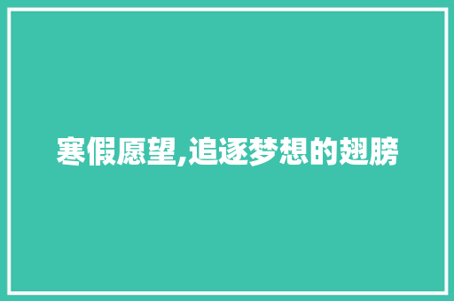 寒假愿望,追逐梦想的翅膀