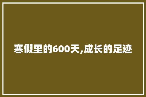 寒假里的600天,成长的足迹