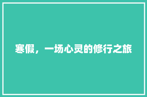 寒假，一场心灵的修行之旅