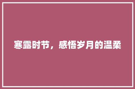 寒露时节，感悟岁月的温柔