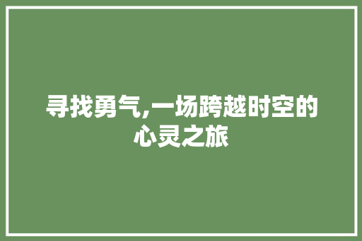 寻找勇气,一场跨越时空的心灵之旅