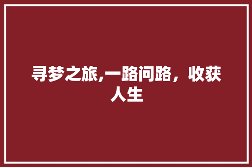 寻梦之旅,一路问路，收获人生