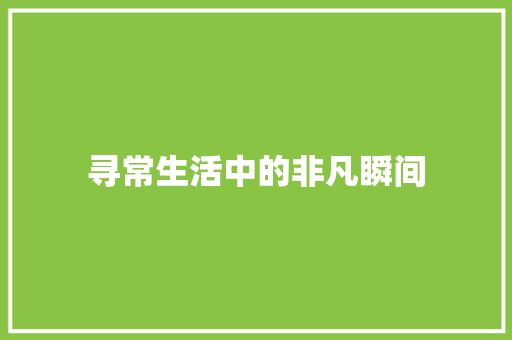 寻常生活中的非凡瞬间