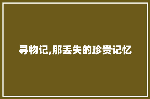 寻物记,那丢失的珍贵记忆