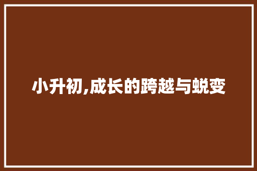 小升初,成长的跨越与蜕变