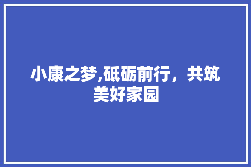 小康之梦,砥砺前行，共筑美好家园