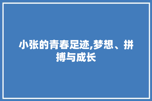 小张的青春足迹,梦想、拼搏与成长