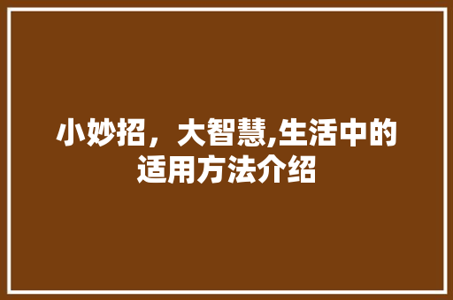 小妙招，大智慧,生活中的适用方法介绍