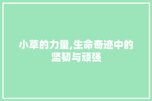 小草的力量,生命奇迹中的坚韧与顽强