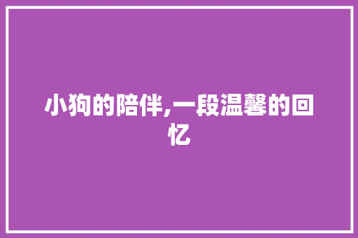 小狗的陪伴,一段温馨的回忆