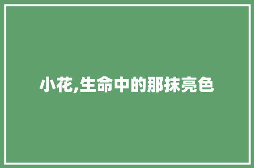 小花,生命中的那抹亮色