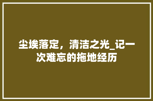 尘埃落定，清洁之光_记一次难忘的拖地经历