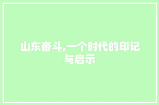 山东奋斗,一个时代的印记与启示