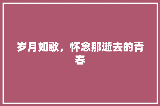 岁月如歌，怀念那逝去的青春