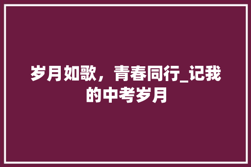 岁月如歌，青春同行_记我的中考岁月