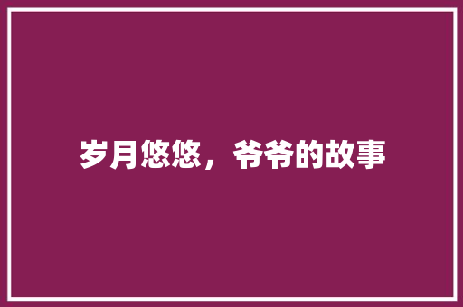 岁月悠悠，爷爷的故事