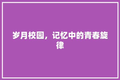 岁月校园，记忆中的青春旋律